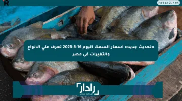 «تحديث جديد» أسعار السمك اليوم 16-5-2025 تعرف على الأنواع والتغيرات في مصر